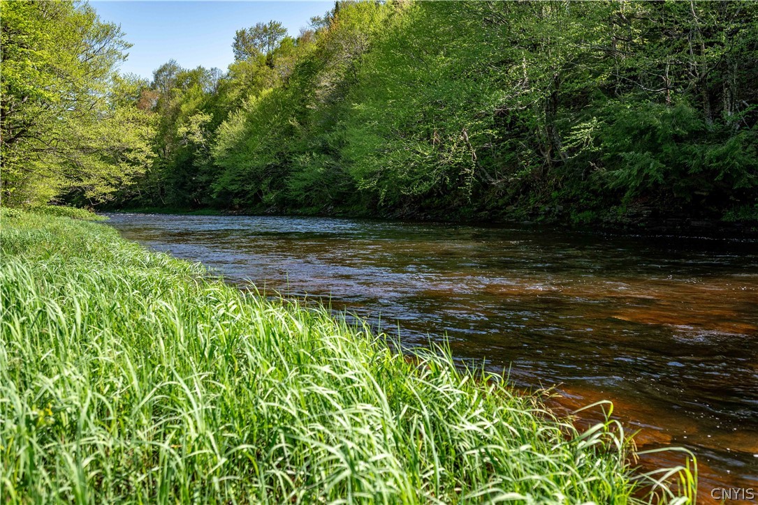 1924 Kotary Road Lewis, NY 13325 - Photo 16 of 50