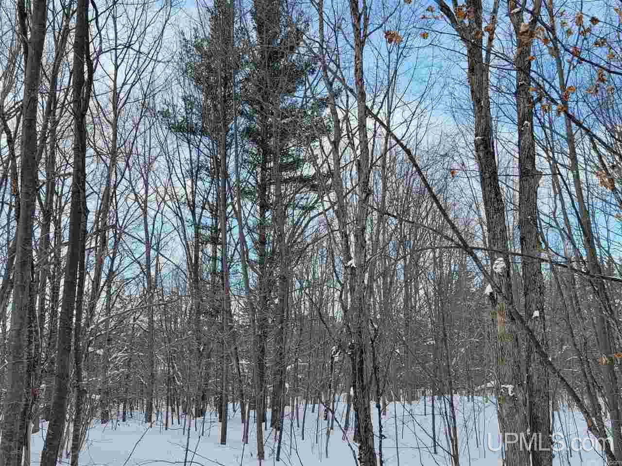Tbd Siira Road Atlantic Mine, MI 49905 - Photo 17 of 17