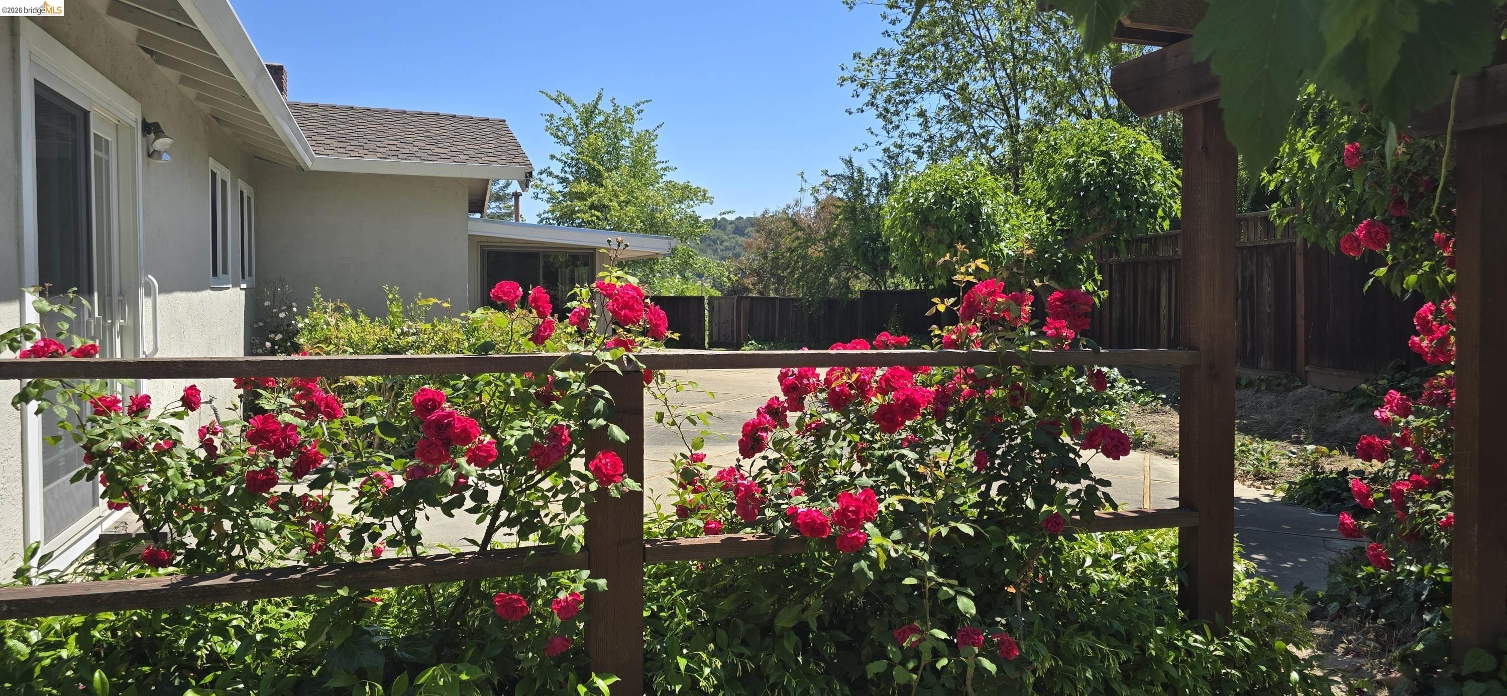 2 Rae Court Orinda, CA 94563 - Photo 24 of 24