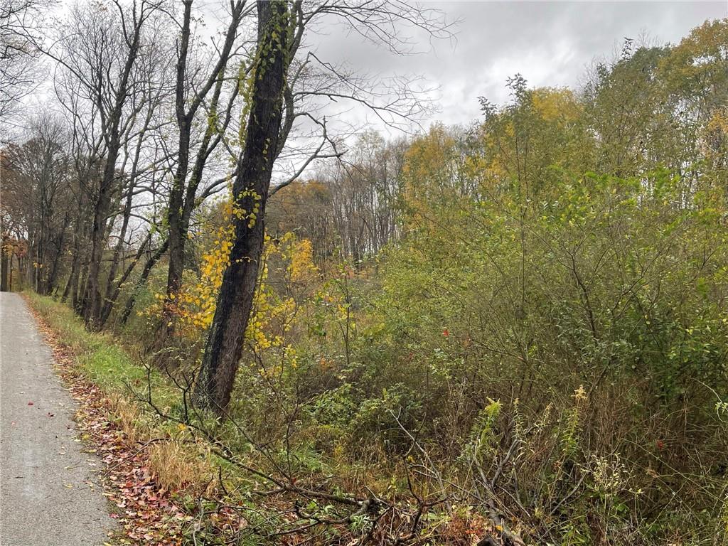 0 Two Two Mile Run Road Ligonier, PA 15658 - Photo 2 of 5 Gallery Image 2