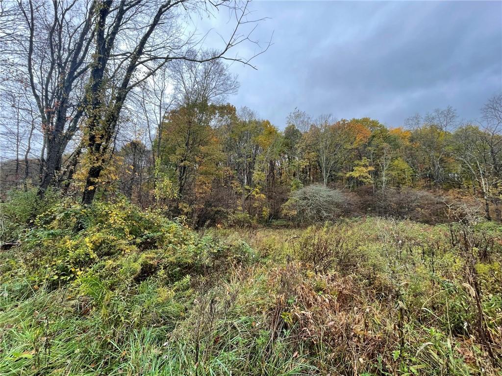 0 Two Two Mile Run Road Ligonier, PA 15658 - Photo 3 of 5 Gallery Image 3
