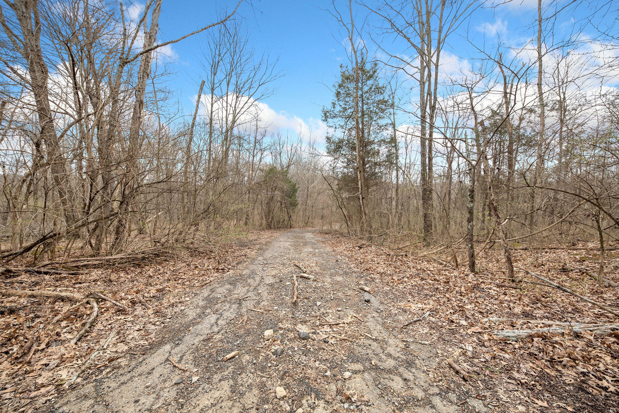 0 Painter Road California, KY 41007 - Photo 25 of 26