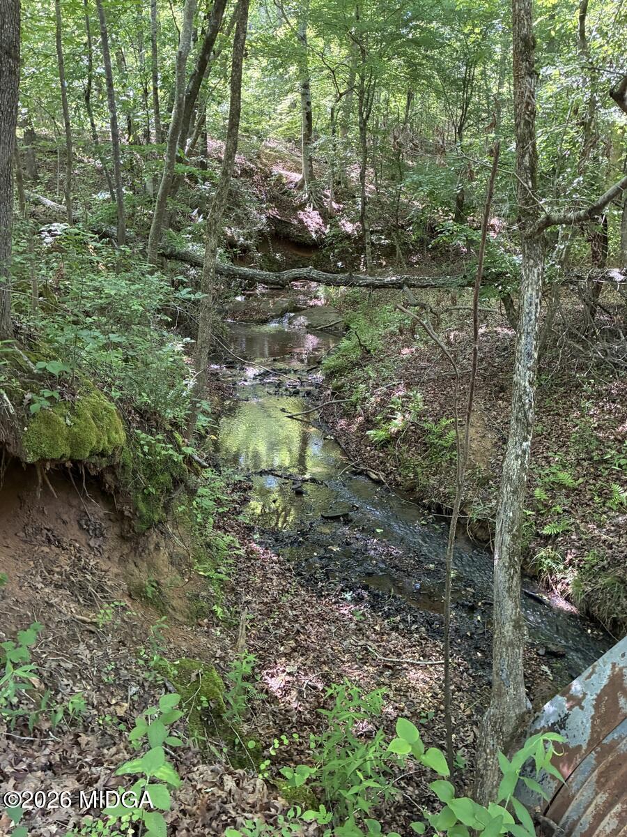 5645 Highway 42 Forsyth, GA 31029 - Photo 17 of 63 IMG_3034