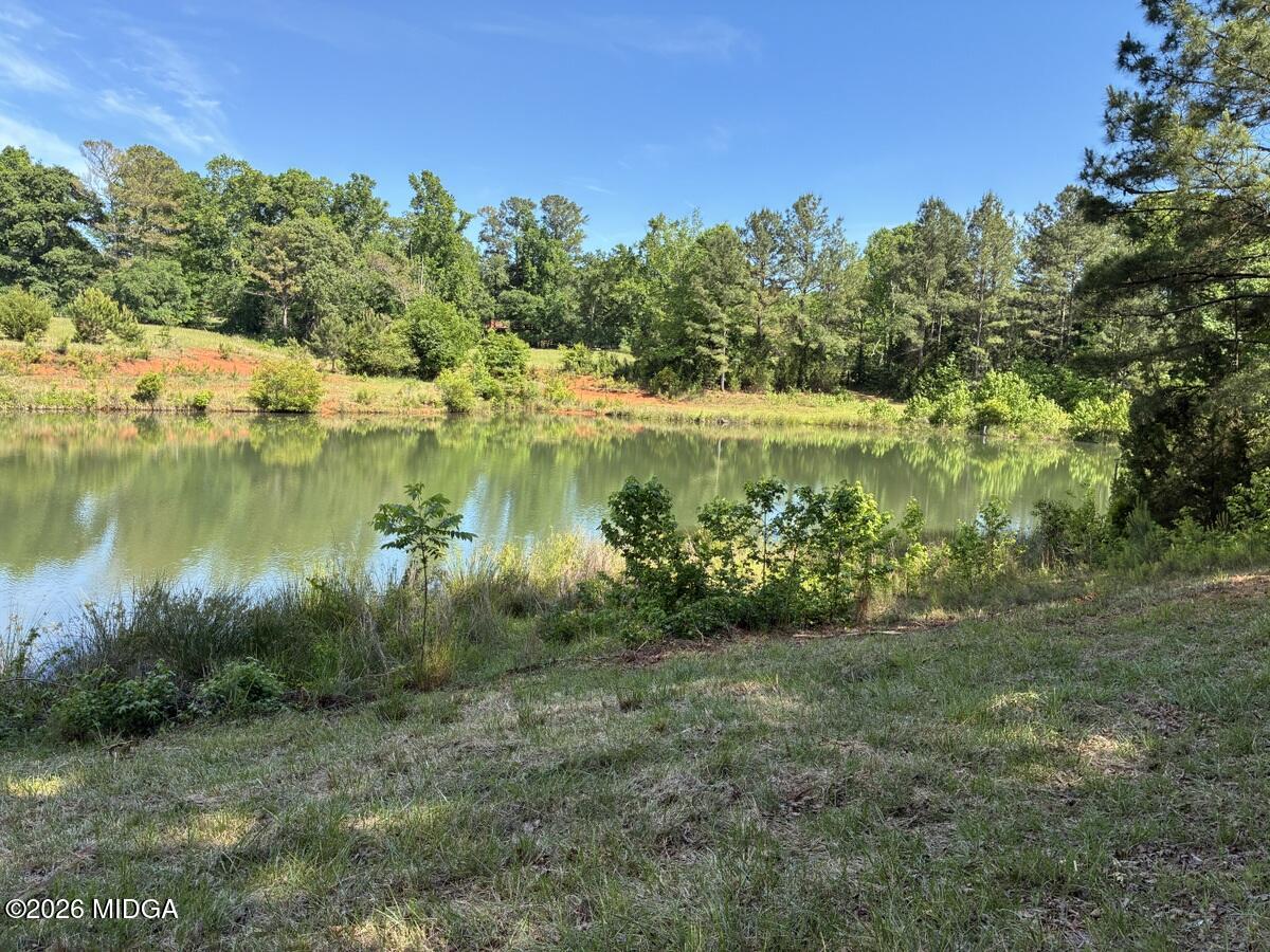 5645 Highway 42 Forsyth, GA 31029 - Photo 20 of 63 IMG_3042