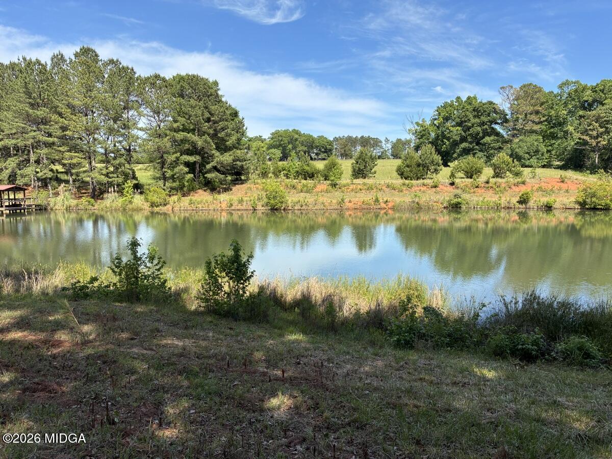 5645 Highway 42 Forsyth, GA 31029 - Photo 21 of 63 IMG_3043