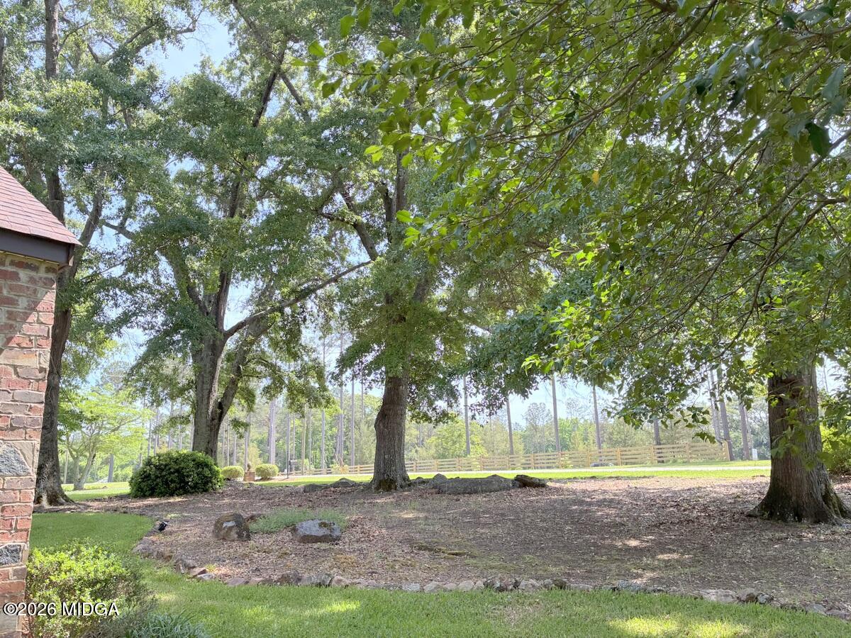 5645 Highway 42 Forsyth, GA 31029 - Photo 63 of 63 IMG_3060 (2)