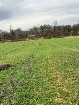 a view of a field with an ocean