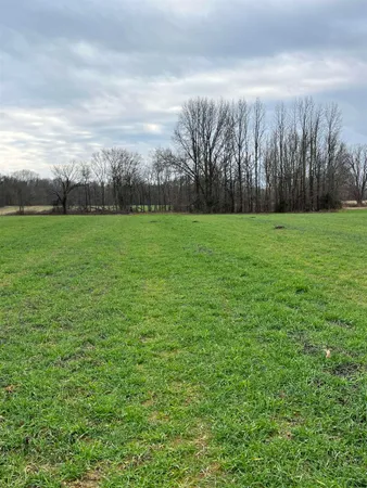 a view of a field of grass and trees