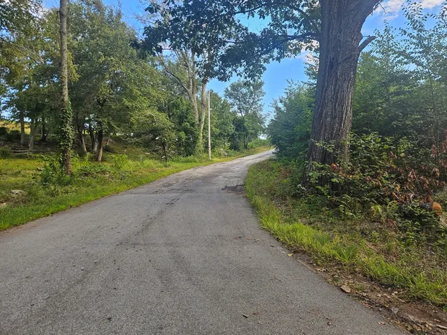 a view of a yard with a tree