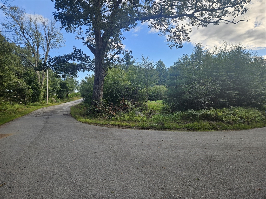 379 Adams Road New Braintree, MA 01531 - Photo 13 of 19 a view of a yard with a tree
