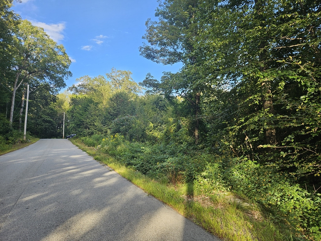 379 Adams Road New Braintree, MA 01531 - Photo 15 of 19 a view of a yard with plants and large trees