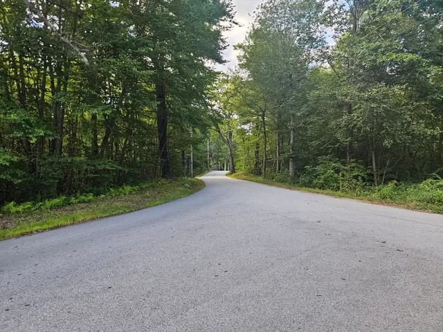 a view of a field with a tree in the background