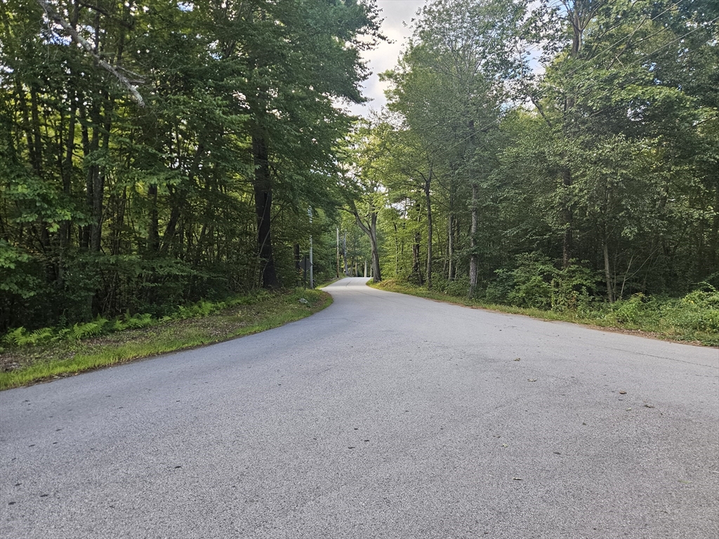 379 Adams Road New Braintree, MA 01531 - Photo 17 of 19 a view of a field with a trees in the background