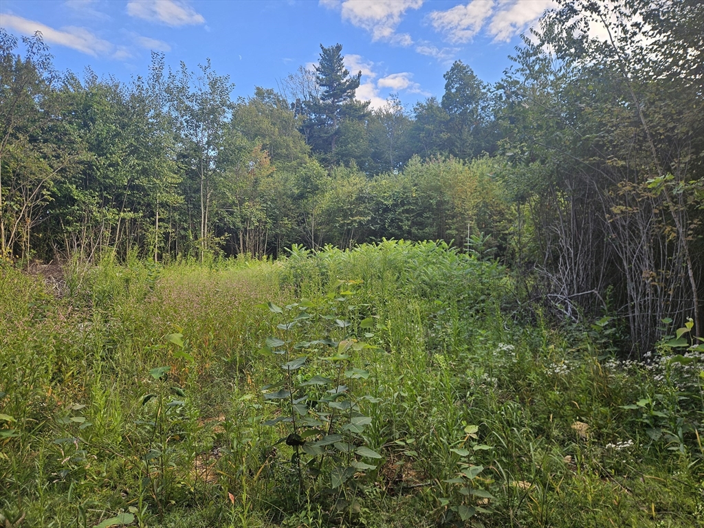 379 Adams Road New Braintree, MA 01531 - Photo 9 of 19 a view of a lake from a yard