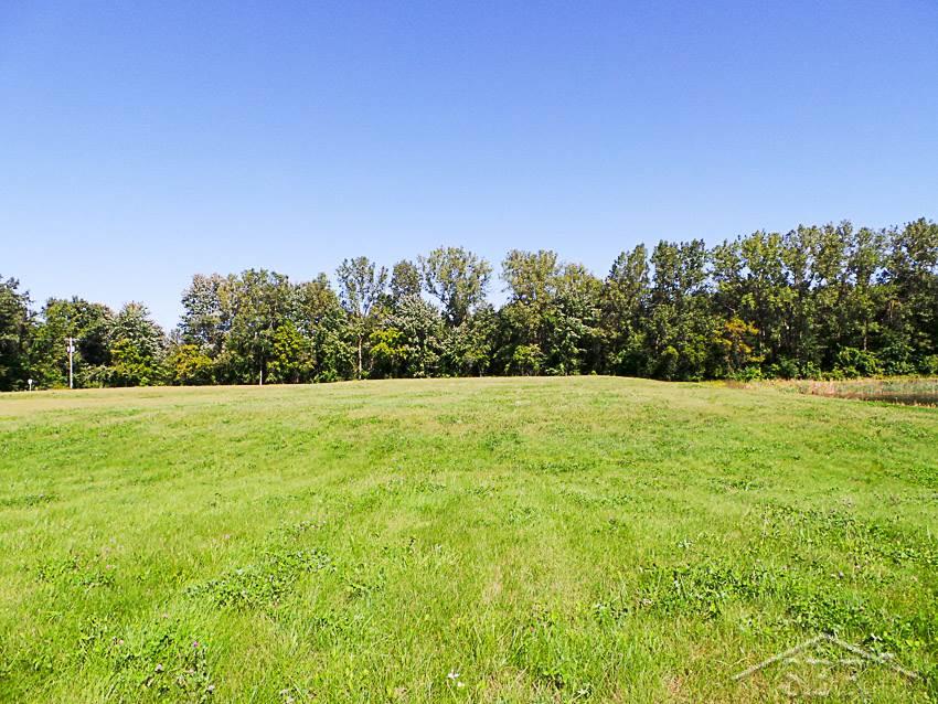 7863 Sheridan Road Birch Run, MI 48415 - Photo 3 of 3