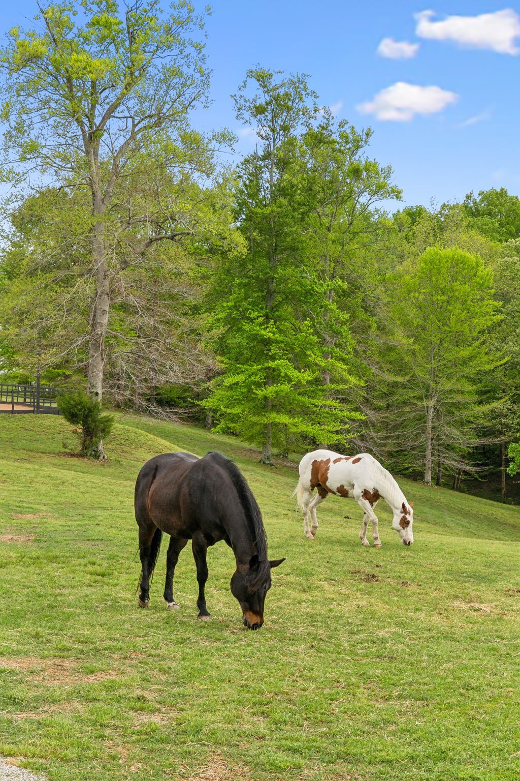 4325 Cave Springs Road Columbia, TN 38482 - Photo 89 of 100