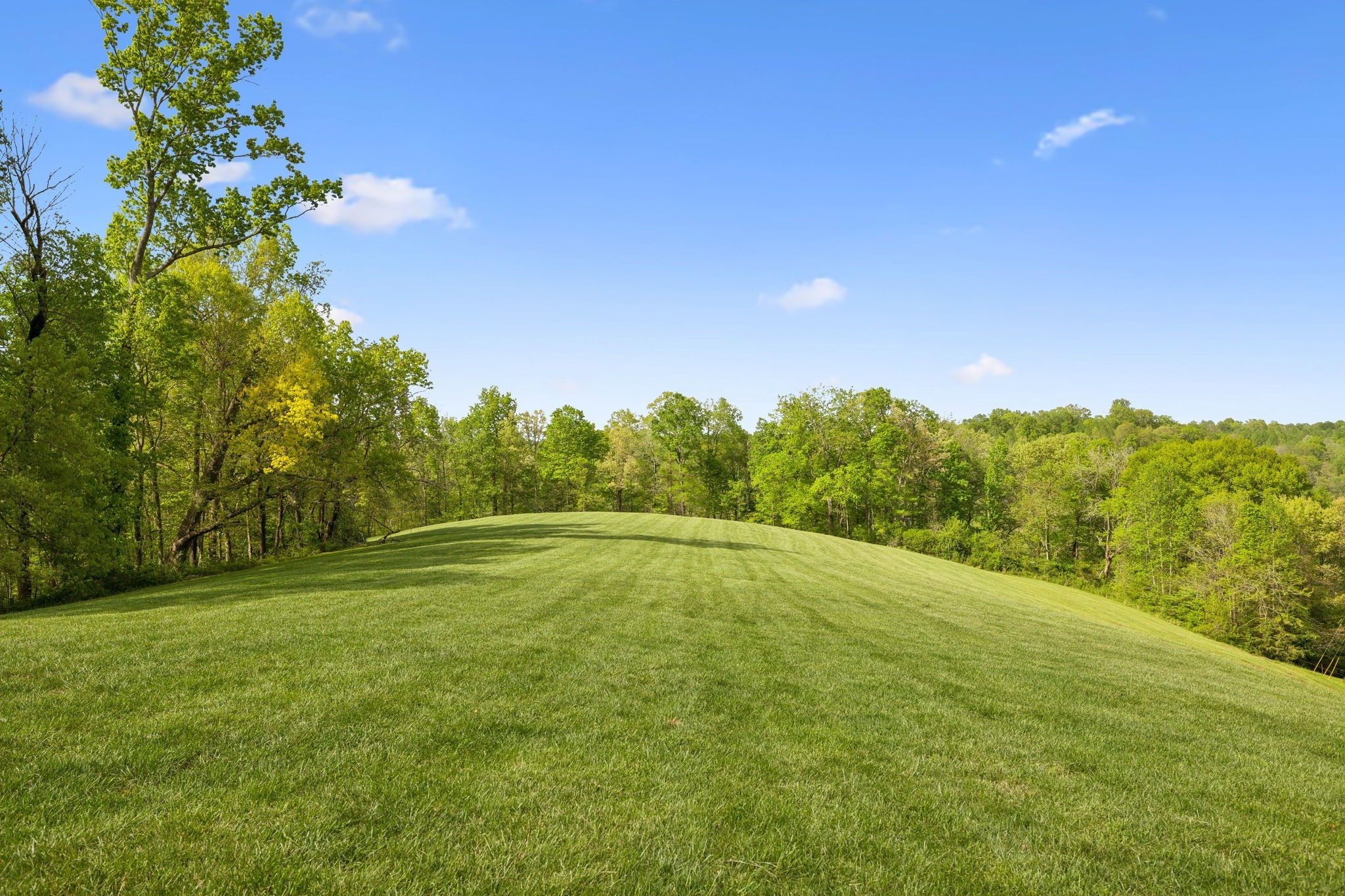 4325 Cave Springs Road Columbia, TN 38482 - Photo 92 of 100