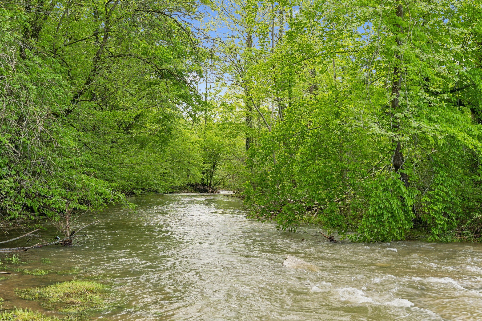 4325 Cave Springs Road Columbia, TN 38482 - Photo 93 of 100