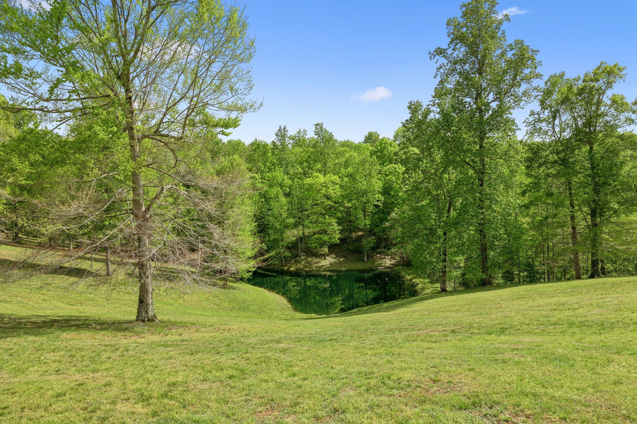 4325 Cave Springs Road Columbia, TN 38482 - Photo 95 of 100