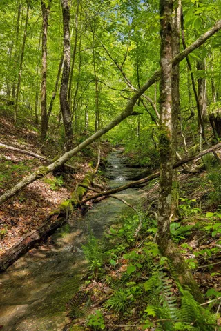 $7,500,000 | 4325 Cave Springs Road, Santa Fe, TN 38482