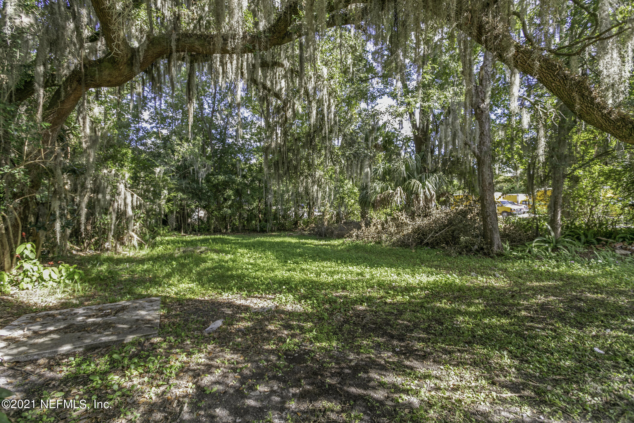 3921 St Augustine Road Jacksonville, FL 32207 - Photo 27 of 35 a view of a yard with a tree