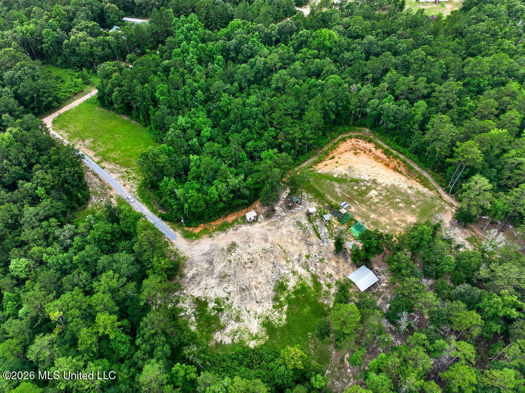 94 Desoto Road McHenry, MS 39561 - Photo 8 of 37 94DesotoRd.S-7