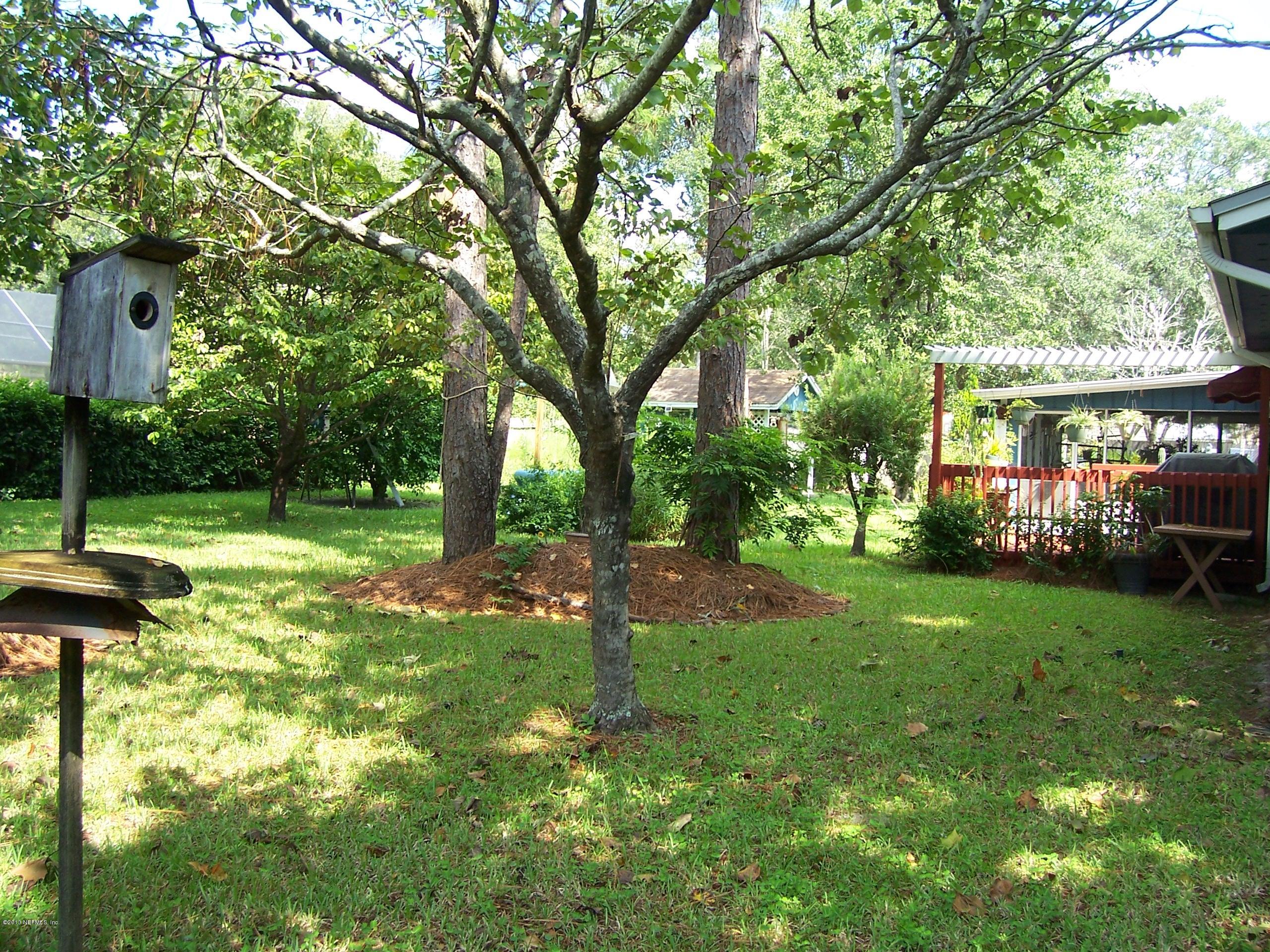 12486 Attrill Road Jacksonville, FL 32258 - Photo 2 of 6 backyard 1