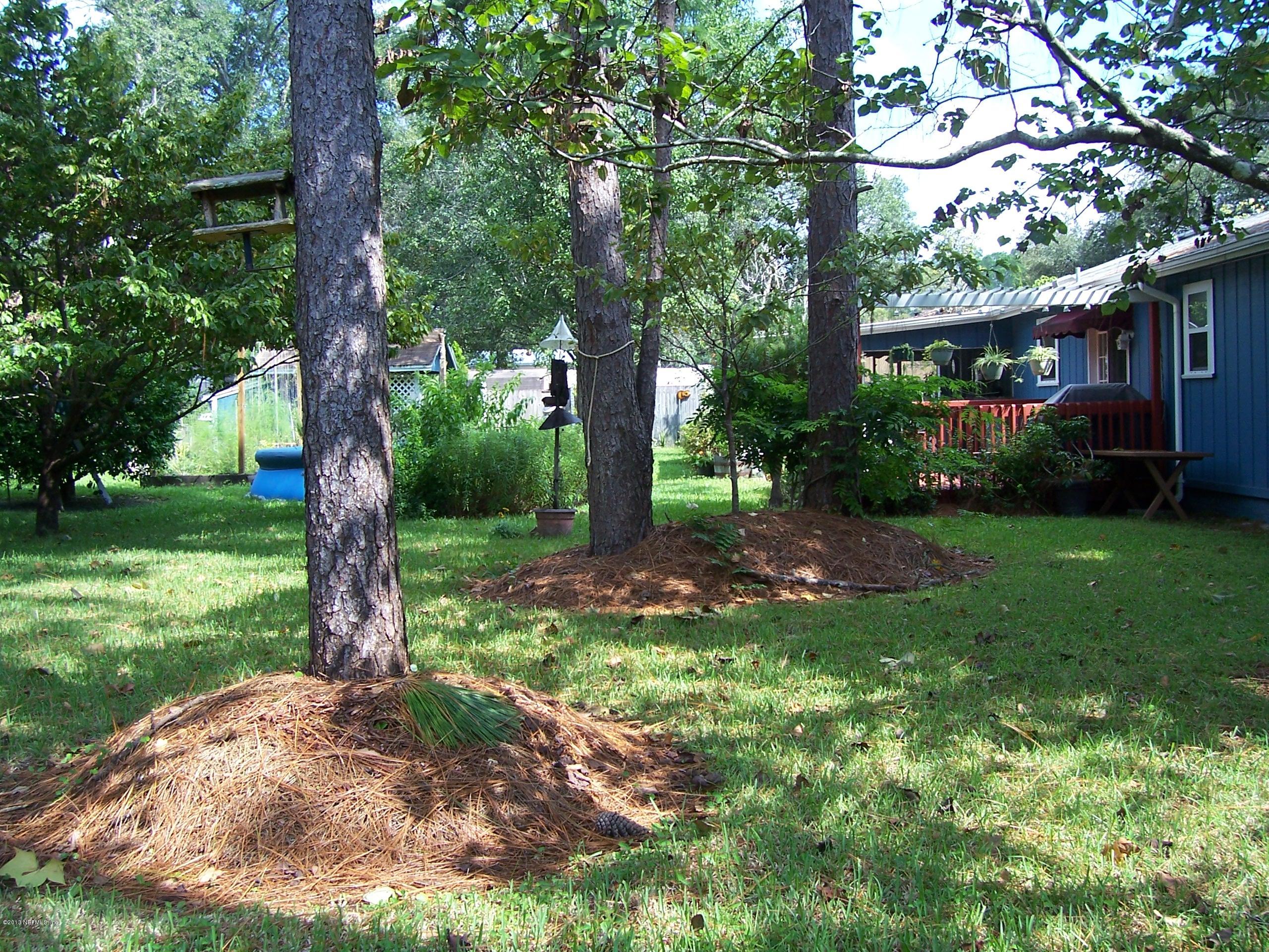 12486 Attrill Road Jacksonville, FL 32258 - Photo 3 of 6 backyard 3
