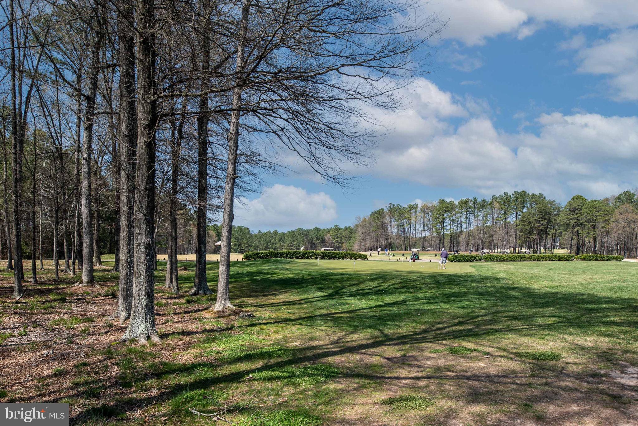 10922 Chatham Ridge Way Spotsylvania, VA 22551 - Photo 105 of 129