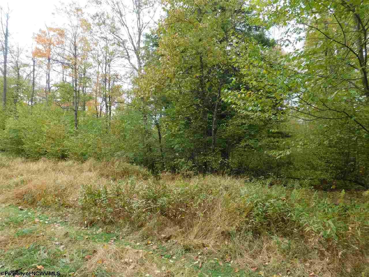 Tbd Scott Cramer Road Terra Alta, WV 26764 - Photo 13 of 19 Gallery Image 13