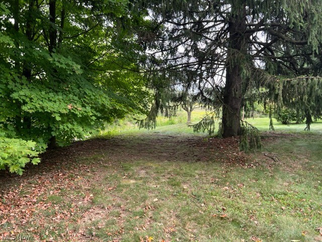 2360 Sheperds Valley Road New Cumberland, WV 26047 - Photo 16 of 16 View of nature