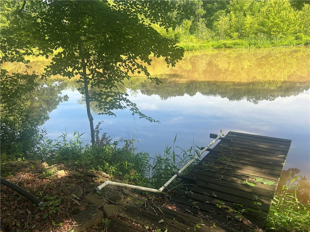 418 Saluda Road Williamston, SC 29697 - Photo 19 of 40 A tranquil waterfront setting with a rustic wooden dock awaits your enjoyment.
