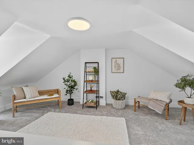 a living room with furniture flowerpot and a potted plant