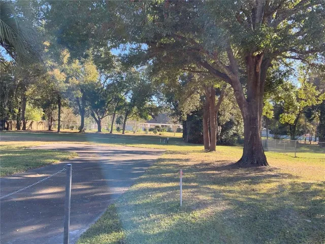 a view of swimming pool with trees