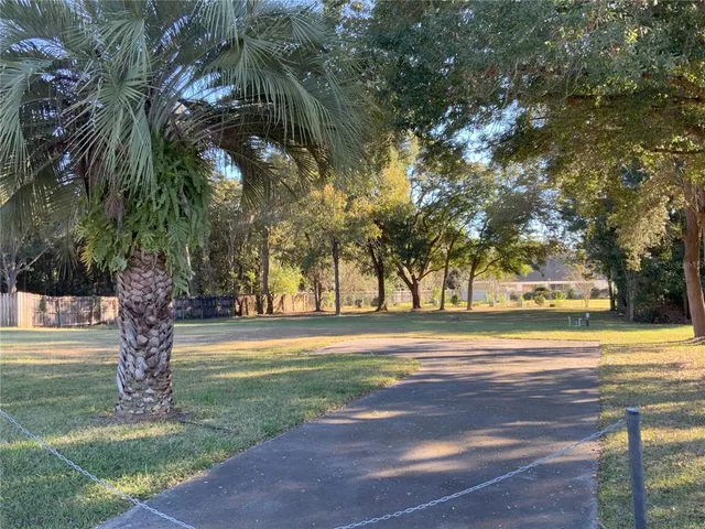 a view of a yard in front of a house with a large tree