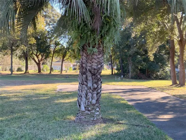 a view of swimming pool with a yard