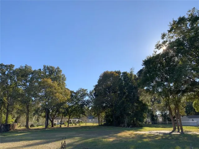 a view of a water fountain and trees in the background