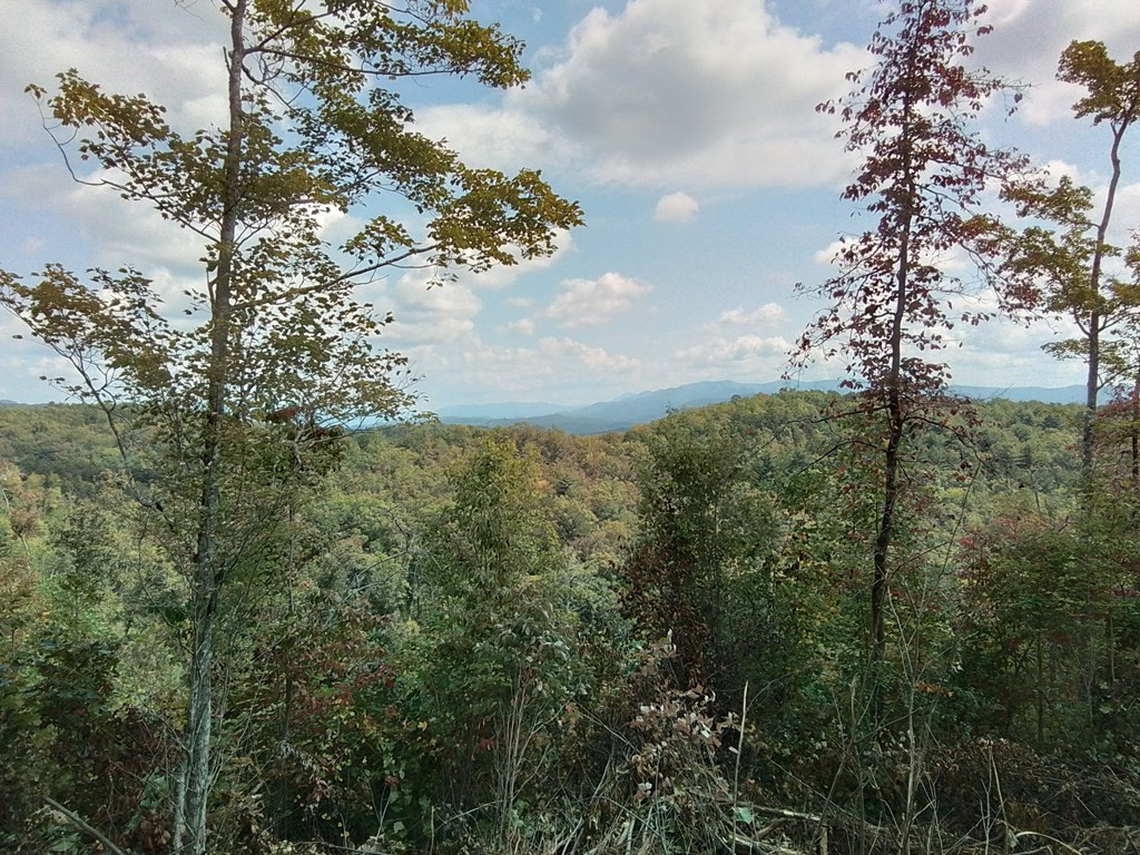 End Of Tanglewood Ridge Murphy, NC 28906 - Photo 5 of 38