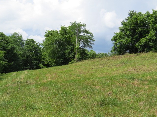 200 Hardy Road Pulaski, TN 38478 - Photo 15 of 20