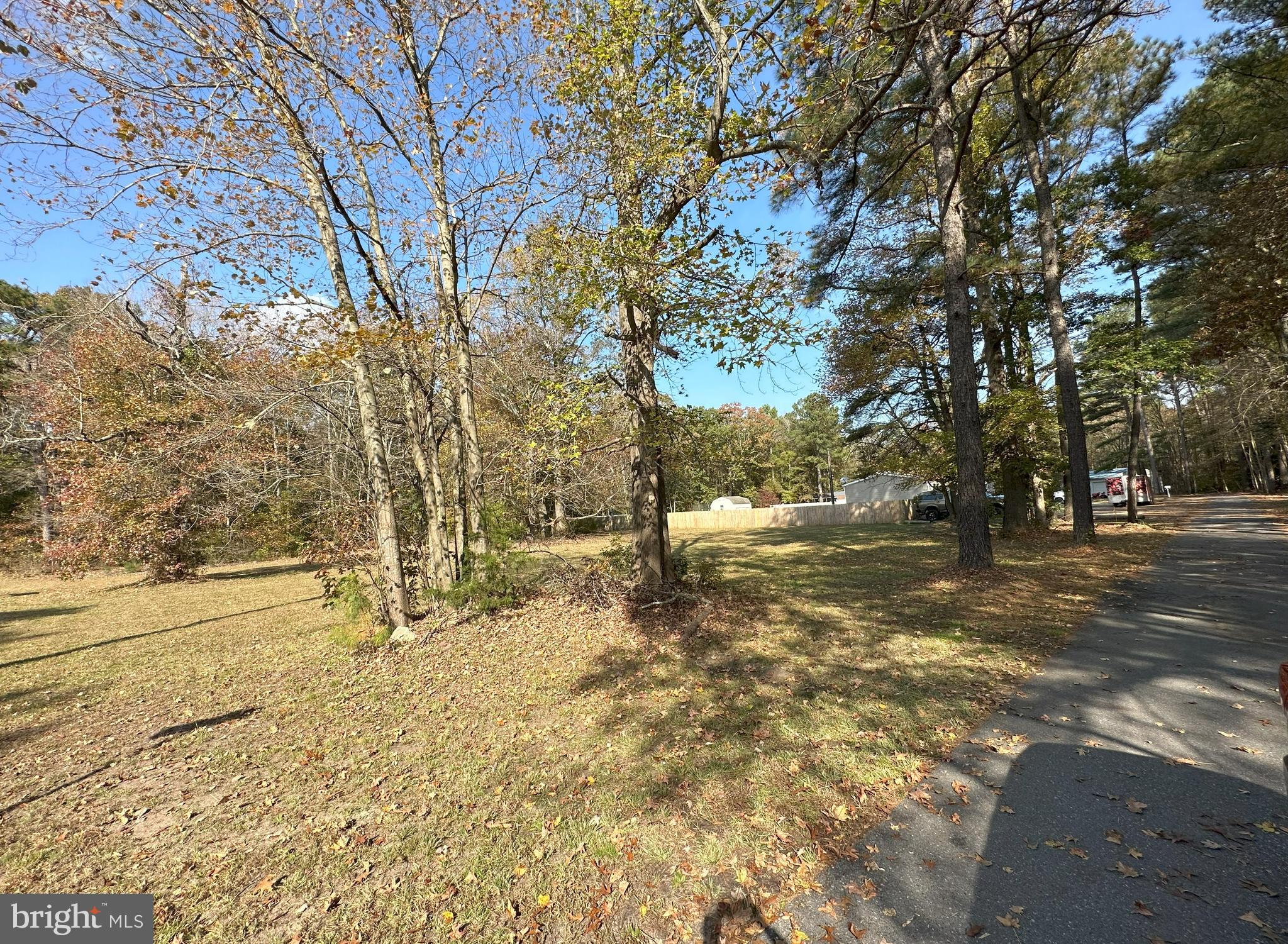 0 Mt Joy Road Millsboro, DE 19966 - Photo 4 of 7