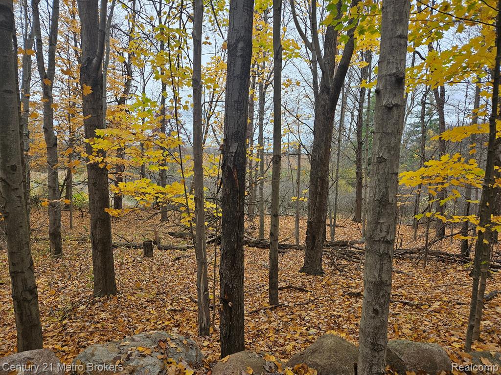 4153 North Lake Road Columbiaville, MI 48421 - Photo 13 of 61 Gallery Image 13