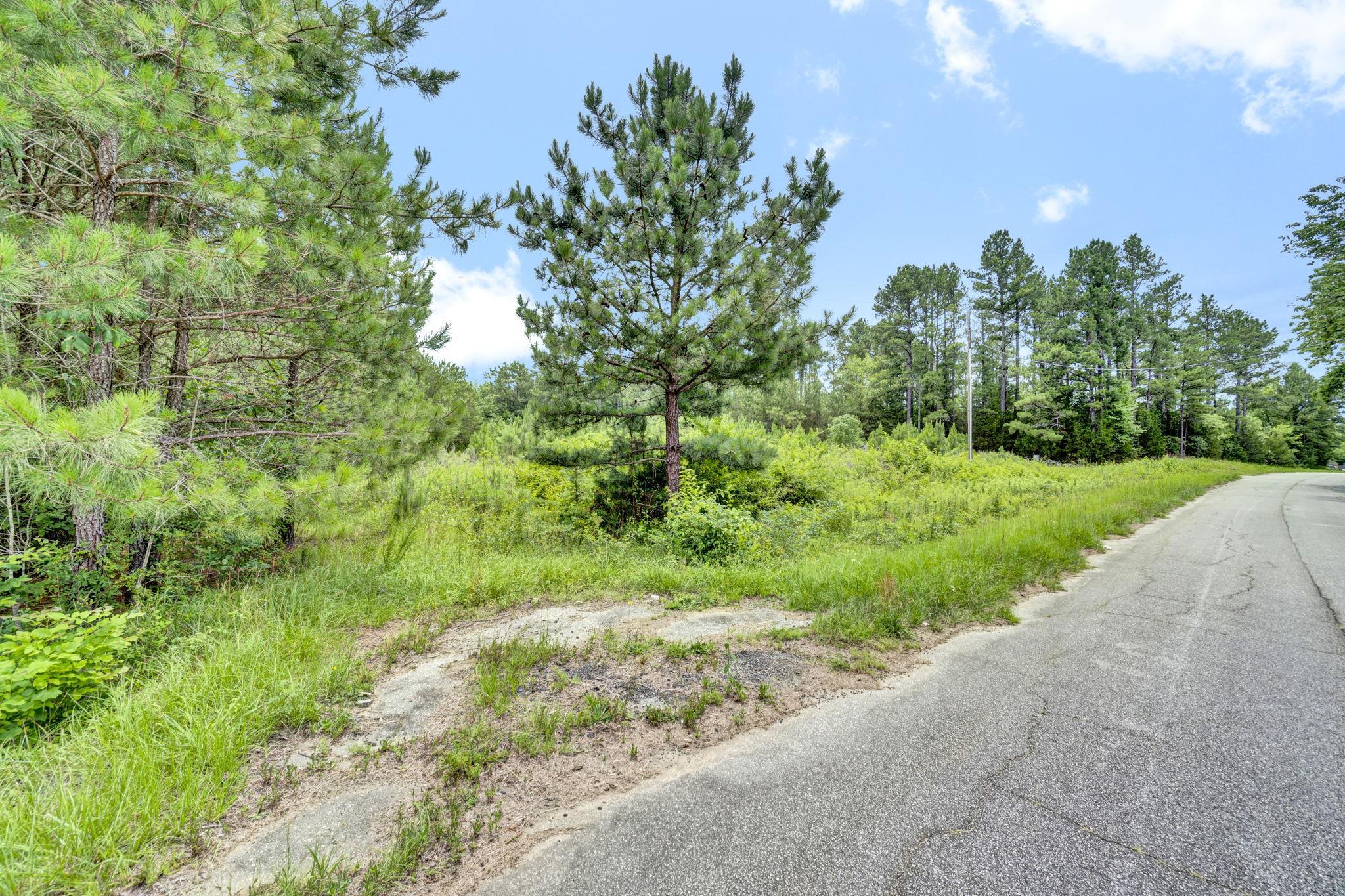 0 Stomp Springs Circle Clinton, SC 29325 - Photo 10 of 22