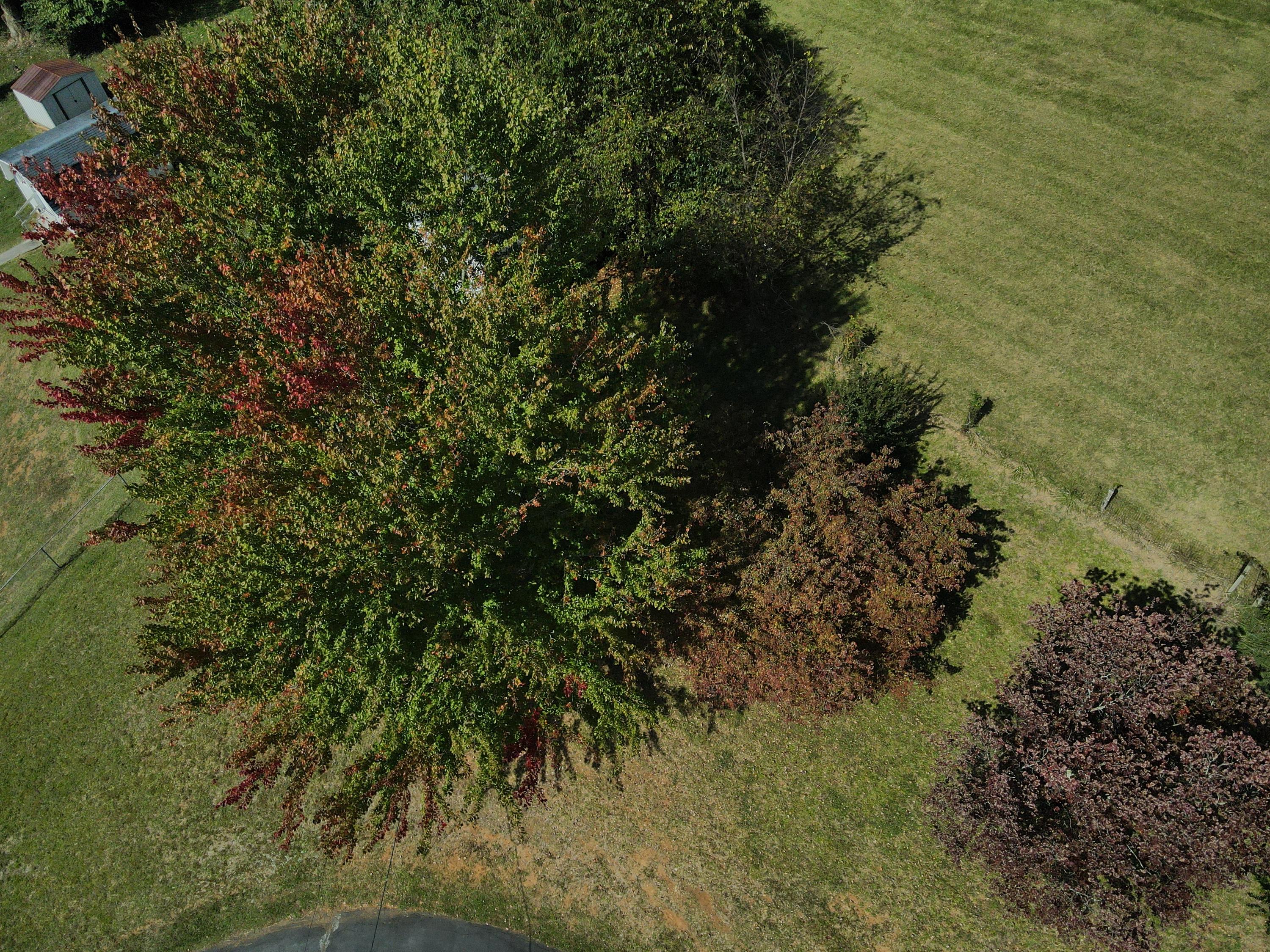 1517 Siam Road Elizabethton, TN 37643 - Photo 14 of 64 DJI_0556
