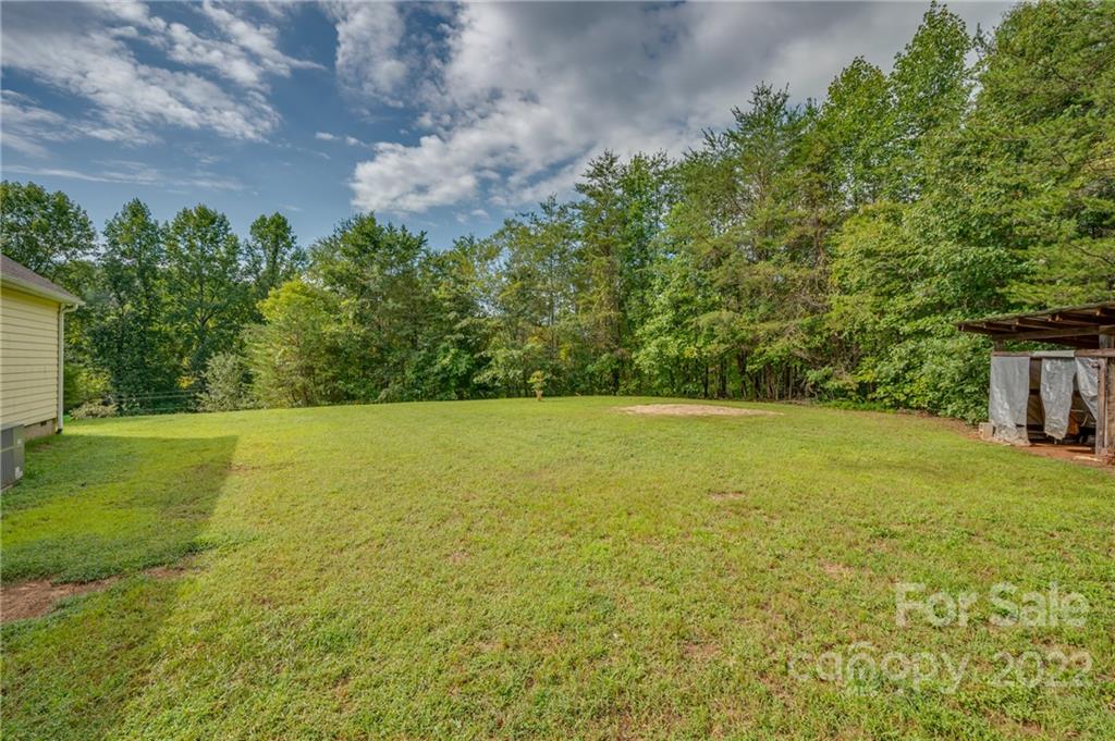 6410 Big Level Road Mill Spring, NC 28756 - Photo 31 of 32 a view of outdoor space and yard
