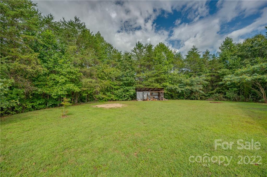 6410 Big Level Road Mill Spring, NC 28756 - Photo 4 of 32 a view of a big yard with an trees