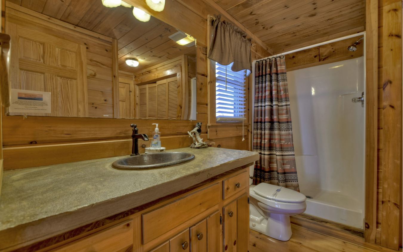 664 Laurel Ridge Road Blue Ridge, GA 30513 - Photo 16 of 36 a bathroom with a sink a toilet and shower