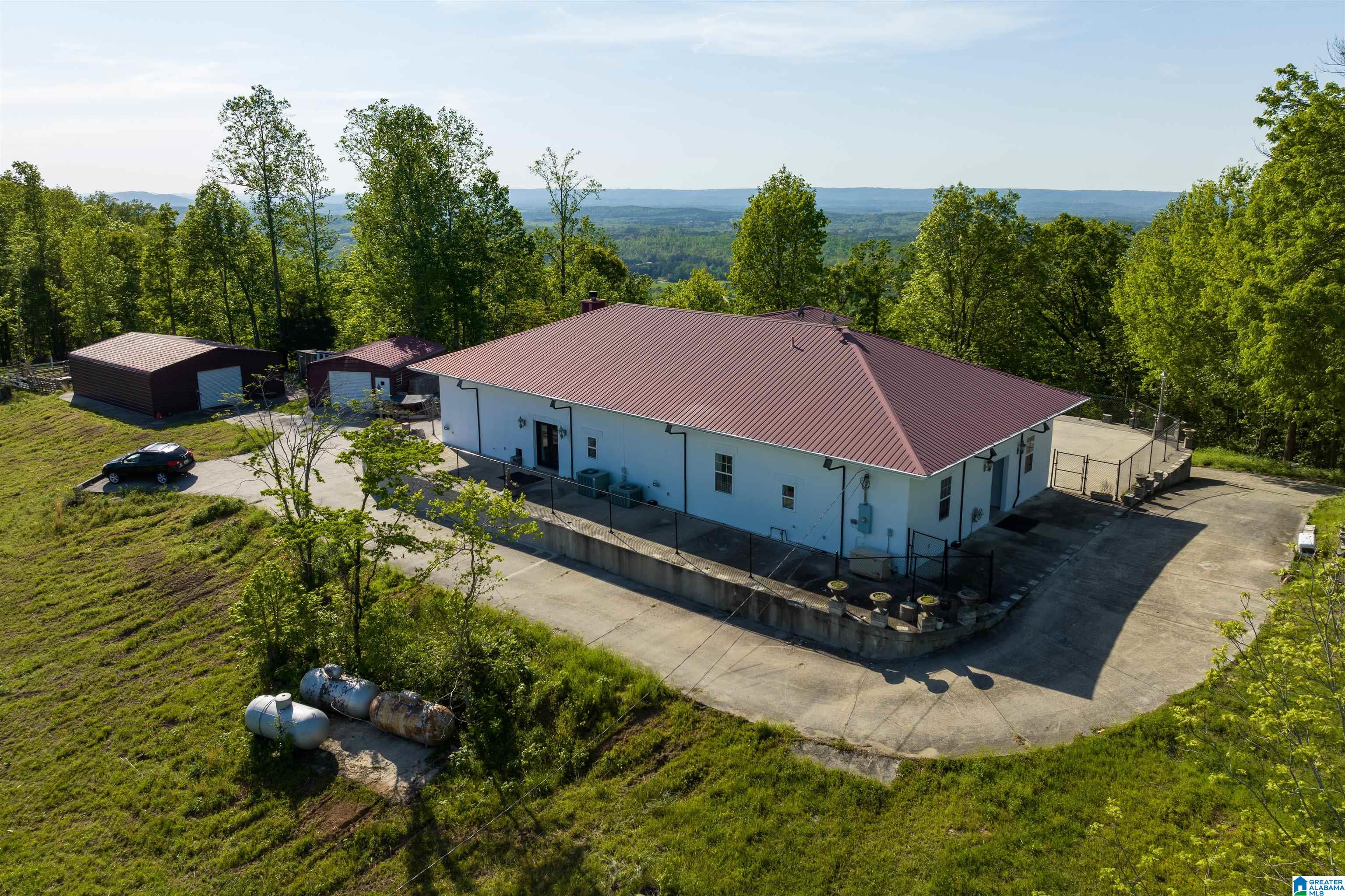 1905 Beaver Mountain Road Ashville, AL 35953 - Photo 41 of 48