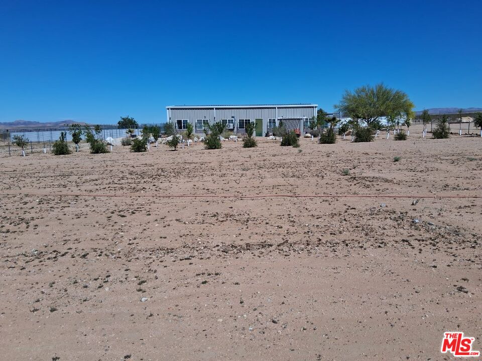9025 Camp Rock Road Lucerne Valley, CA 92356 - Photo 40 of 54 a view of a dry yard covered with snow