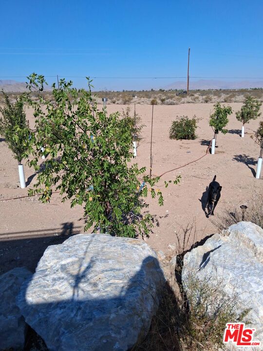 9025 Camp Rock Road Lucerne Valley, CA 92356 - Photo 41 of 54 a view of a outdoor space