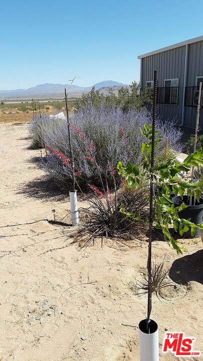 9025 Camp Rock Road Lucerne Valley, CA 92356 - Photo 51 of 54 a view of a backyard of the house
